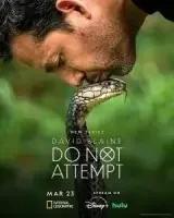 Дэвид Блейн: Не пытайтесь